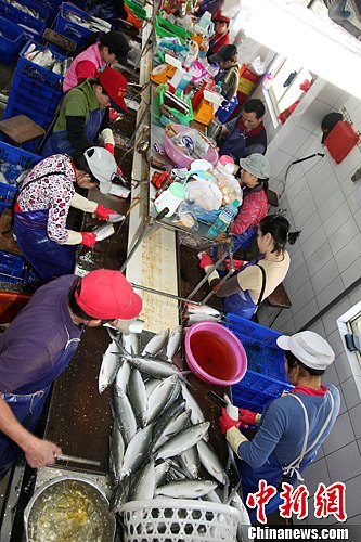 台湾写真:ECFA“发功”台南渔民有感