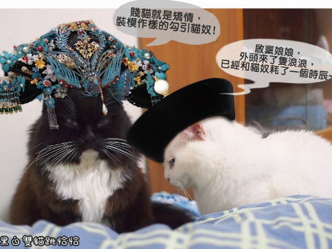 点图查看下一页