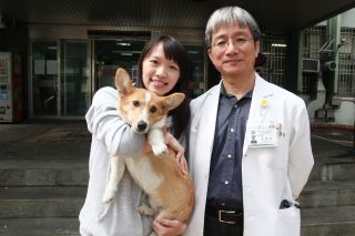 ̨��һ��ҽԺ����̱�������ݹ�����