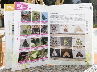 台“最高学府”阿里山香林小学校刊成美丽生态图鉴