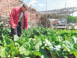 ����԰��Ը��̨һ�����Ͳ��͸�������ˡ�����