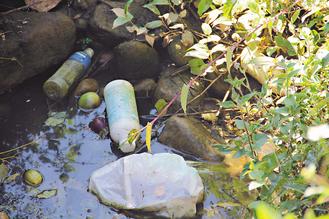 ̨��ũҩƿ�޴����տֳ���̬ɱ��