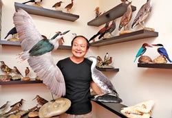 ̨�����ռ�����ʬ�����걾��С����Ϊ��