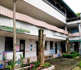 台一小学砍伐20棵树被质疑破坏台湾蓝鹊生态