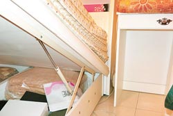 ��ʽ����ͻ׹��̨��Ů�ӵ�����������ͼ��