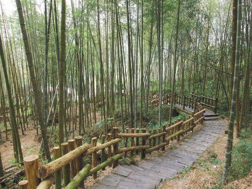 点图查看下一页