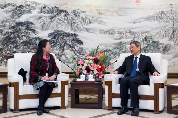 张志军会见台湾青年团体(图)