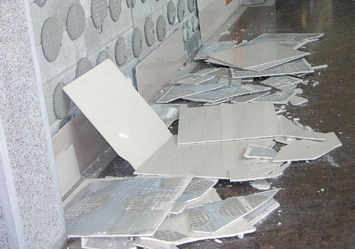 ̨����Ͷ�����𡱾���ͥ���١�����������