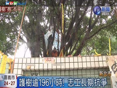 台湾义工在老榕树上连住11天护树知名艺人声援
