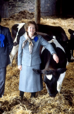 点图查看下一页