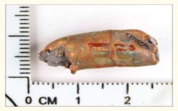 ̨�巽��ͷ��ɱ����������洬��ƽ�е���