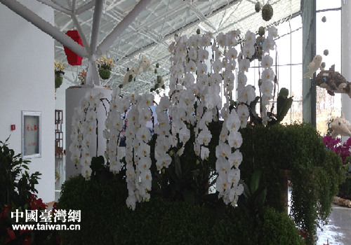 台湾大花园亮相锦州世园会设计彰显台湾魅力