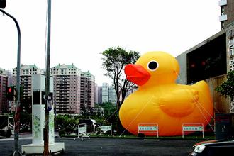 ���ƴ��Ѽ��̨�岻�����±��о���ɽկ������