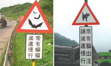 台湾新北市为蝙蝠和猫设公路警示牌(图)