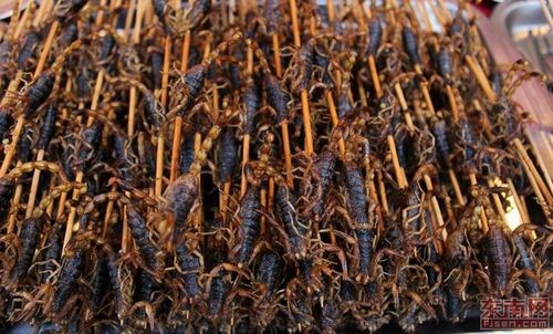 600种两岸美食亮相闽台(福州)特色庙会(4)