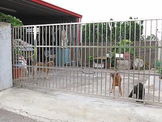 ̨�����޹�ʧ�ٶ������屻�����Ѹ�������