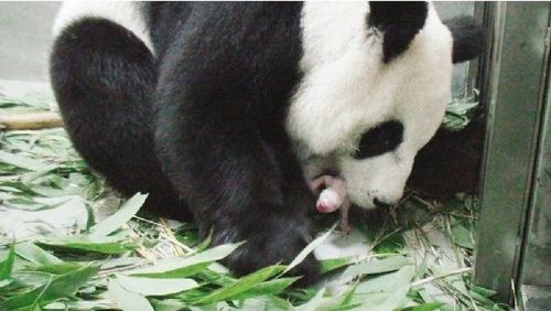 点图查看下一页
