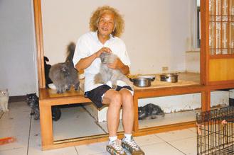 台湾猫爷爷曾养250只猫不结扎称接生时很喜乐