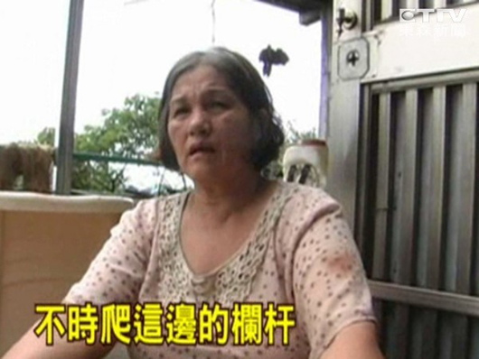 抱2岁牵5岁背7岁台湾老妇光脚狂奔仍救不回爱孙
