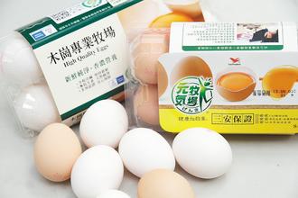 ̨��ٷ����47�Ʒ�����������������鵰��