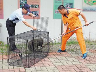 台湾重现绝迹52年狂犬病紧急进口2500剂疫苗