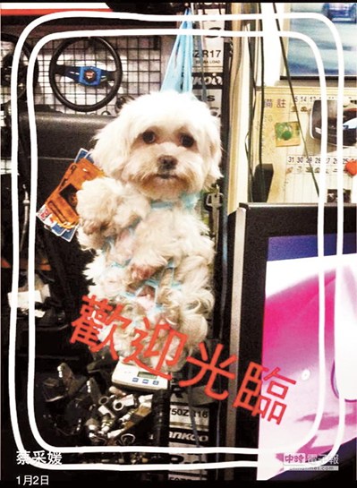 点图查看下一页