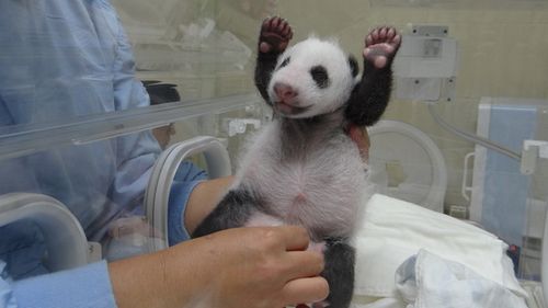 点图查看下一页