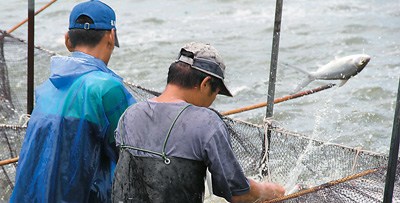 到台南吃虱目鱼不枉作台南行(图)