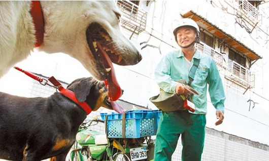 台湾邮差总被狗咬成狂犬病高风险人群(图)