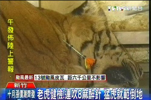 点图查看下一页
