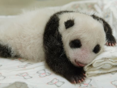 点图查看下一页