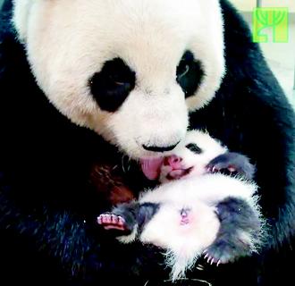 点图查看下一页
