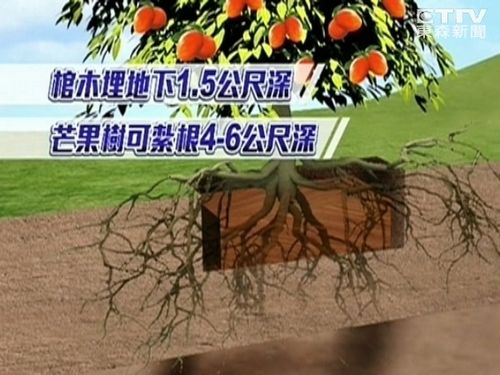 点图查看下一页