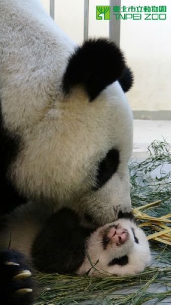 点图查看下一页