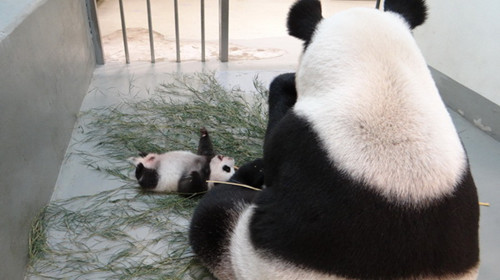 点图查看下一页