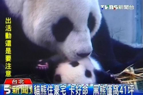 点图查看下一页