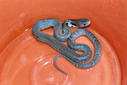 ̨���������۾��߳�ûר�ҽ����Ŵ��·Ž���