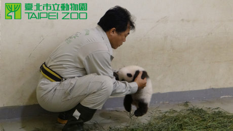 点图查看下一页