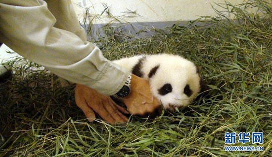 点图查看下一页