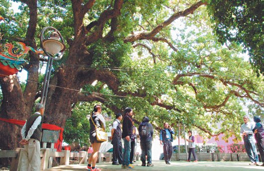 ̨�о����ŽỤǧ�����������̷�����¥��3��