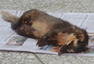 ̨��ȷ���Ȯ���������124��