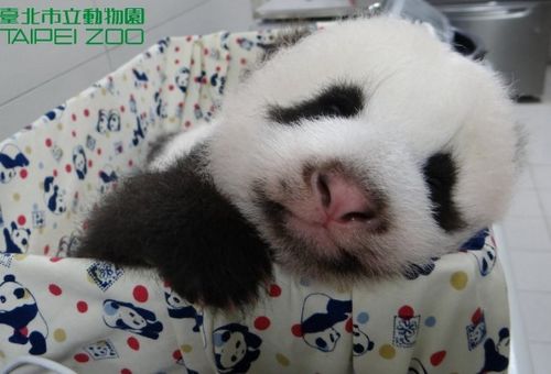 点图查看下一页