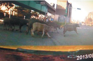 点图查看下一页