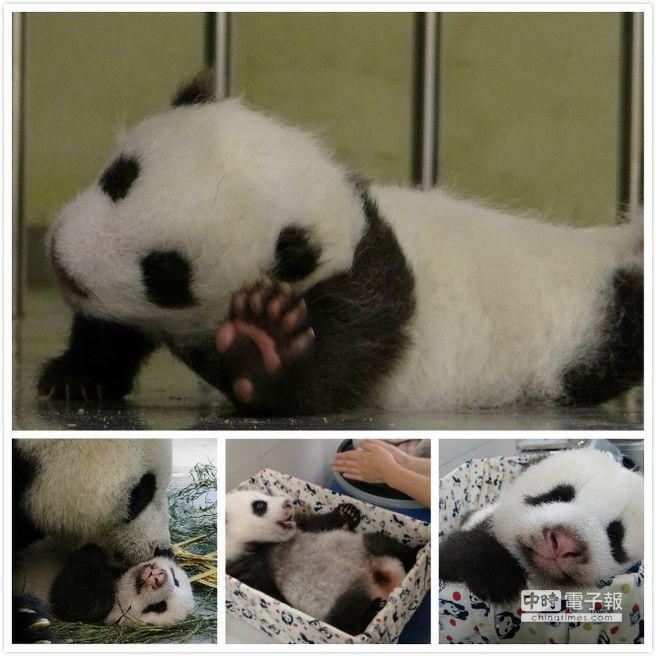 Բ�ж����ѿ�һ��ϸ���Ѿ��ܸ�Ӧ��������ͼ��