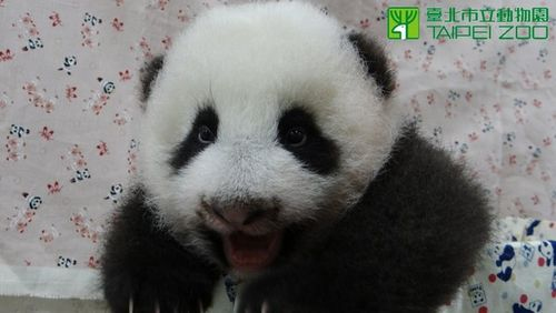 点图查看下一页
