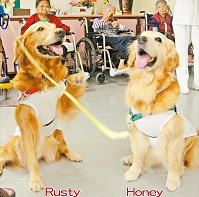 ̨�塰��ҽ����������������Ц�з�������