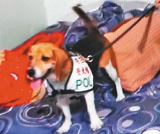 ����Ȯ����������˧�硰���Ρ���ͼ��