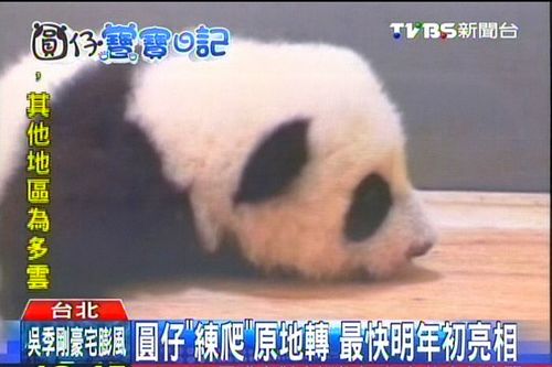 ��̨����èǧ��ѧ����ԭ�ش�ת������������