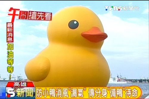 ���ĸ��۴��Ѽ���ƻ��⴫�������ڸ���
