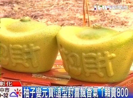 果农种出元宝造型柚子造型讨喜可保存半年（图）